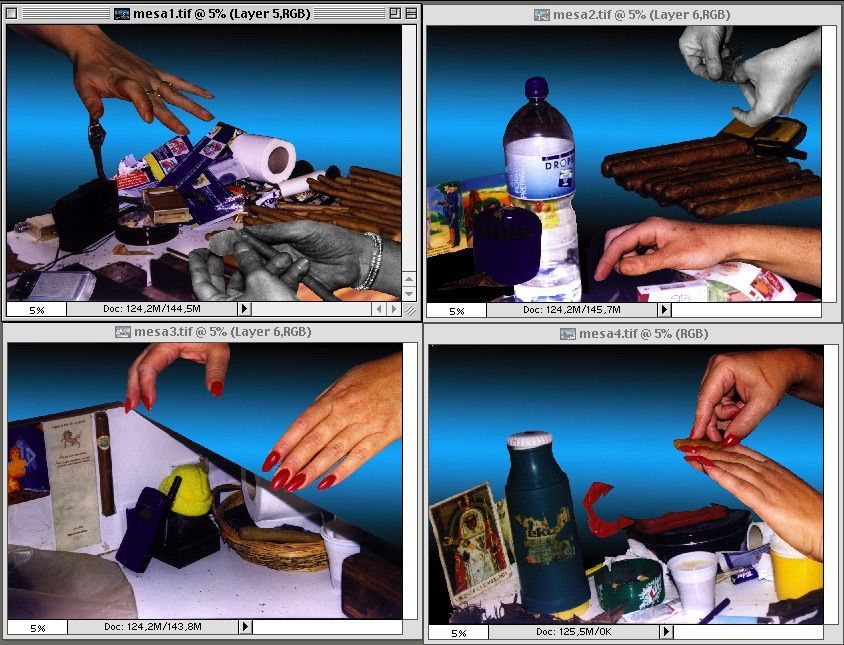 Paisajes de Privacidad