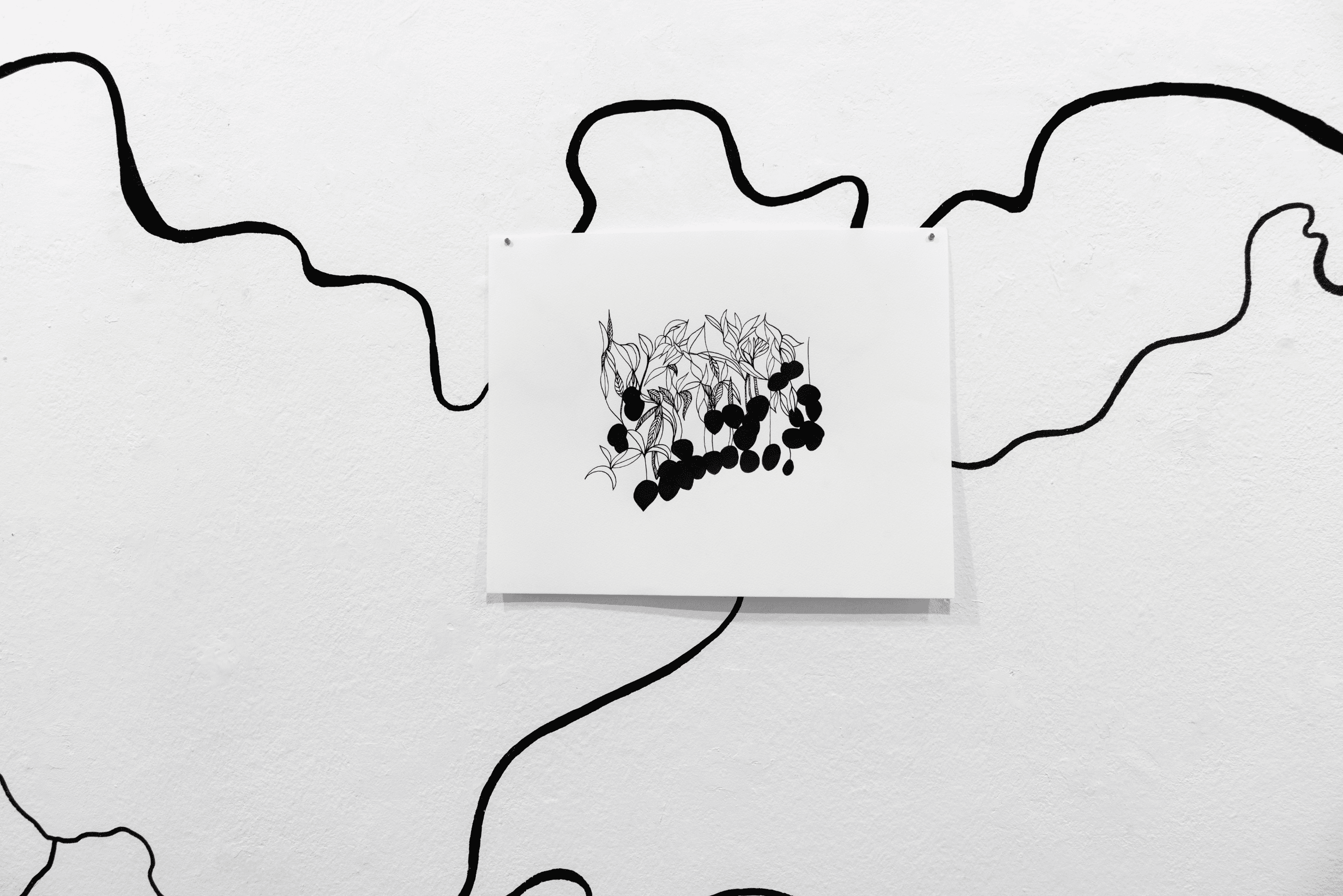 Interlignes-a l'ombre des manguiers sauvages