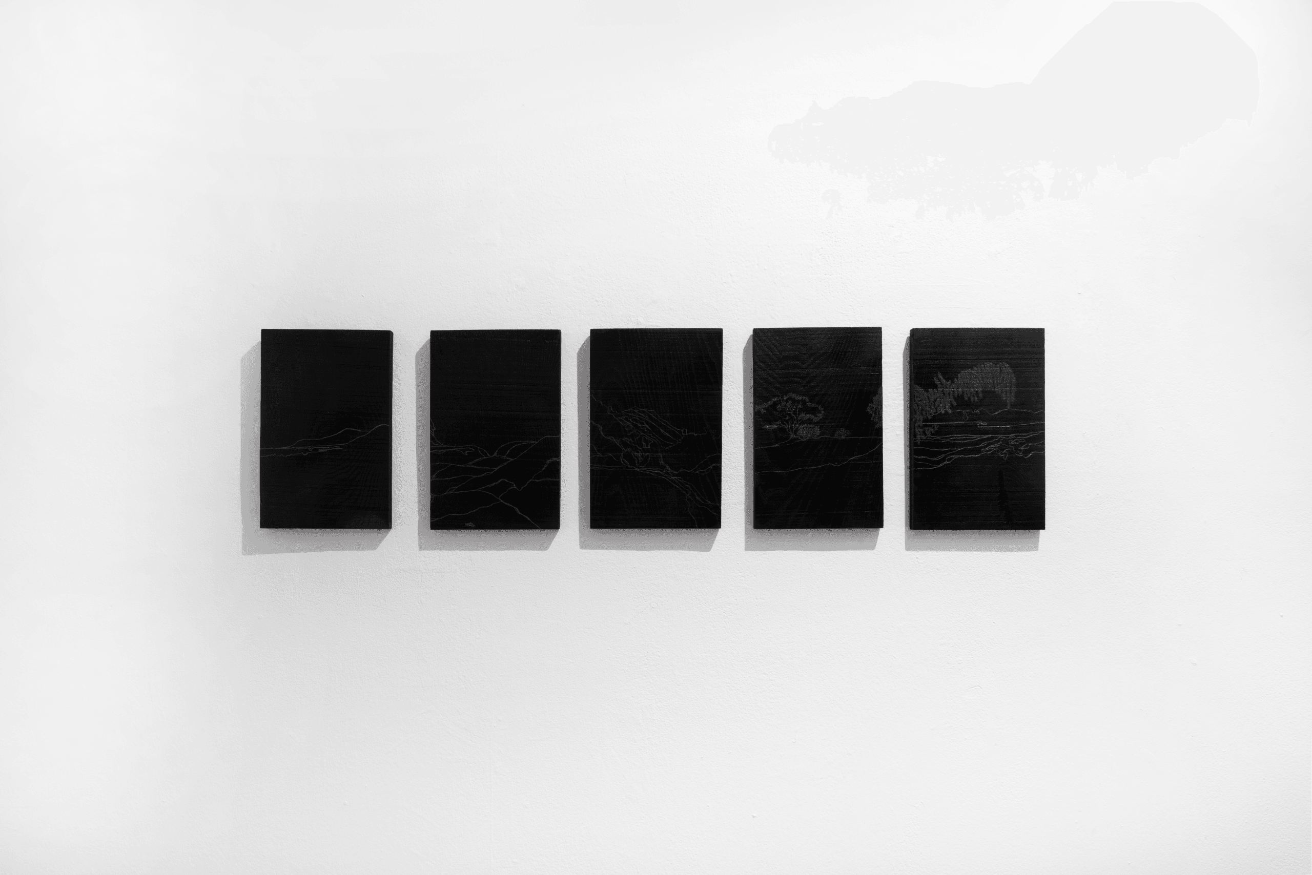 Interlignes-a l'ombre des manguiers sauvages