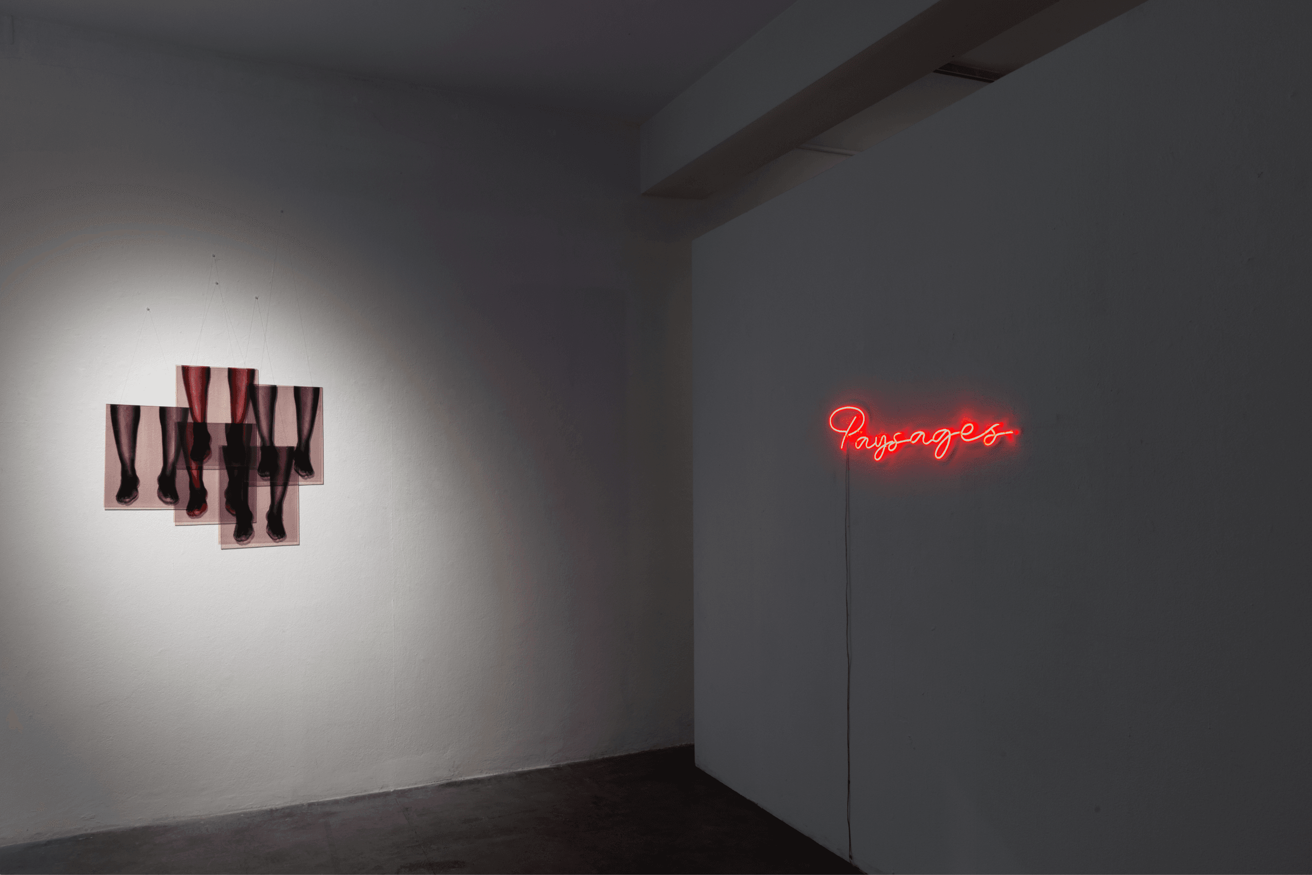 Interlignes-a l'ombre des manguiers sauvages