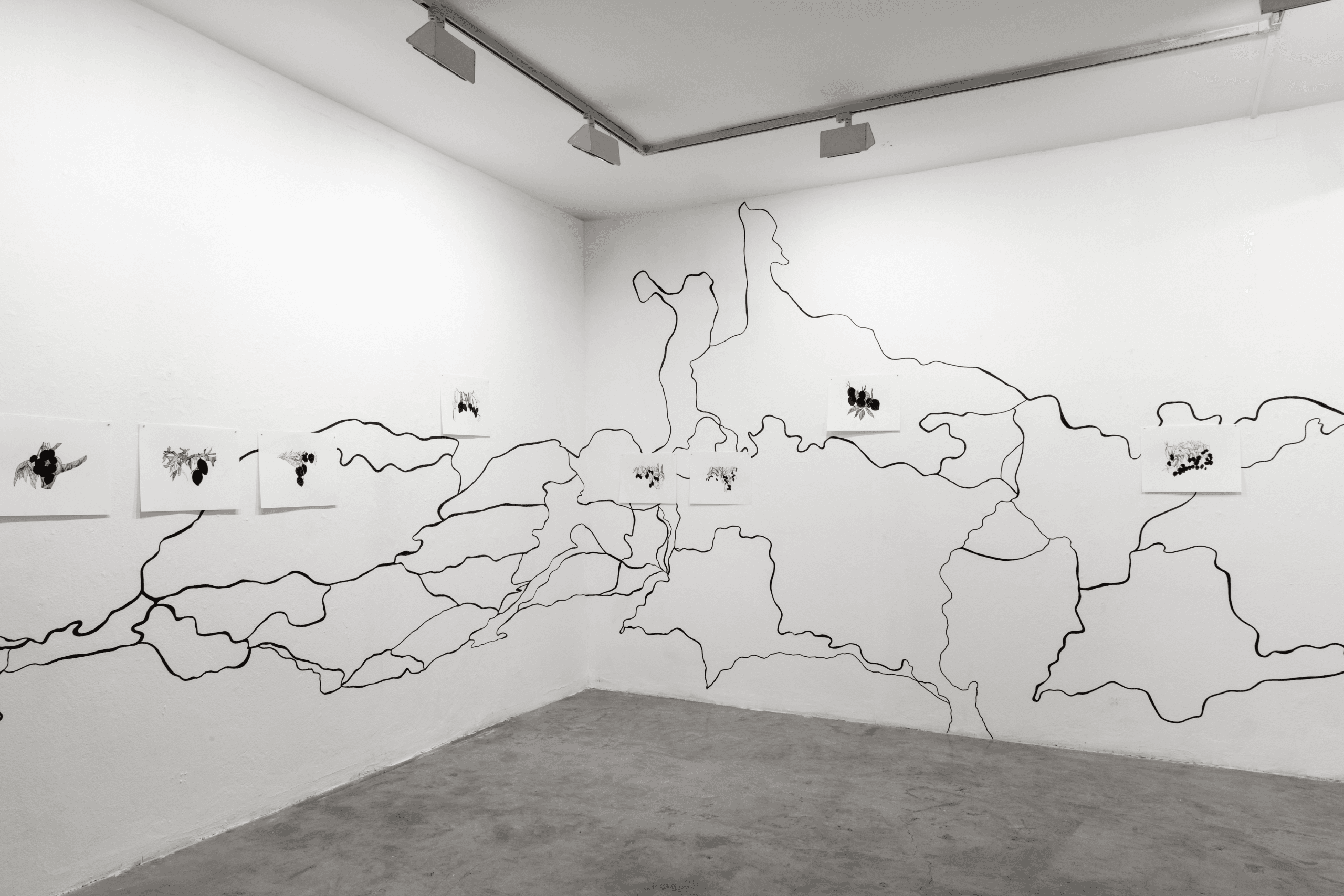 Interlignes-a l'ombre des manguiers sauvages