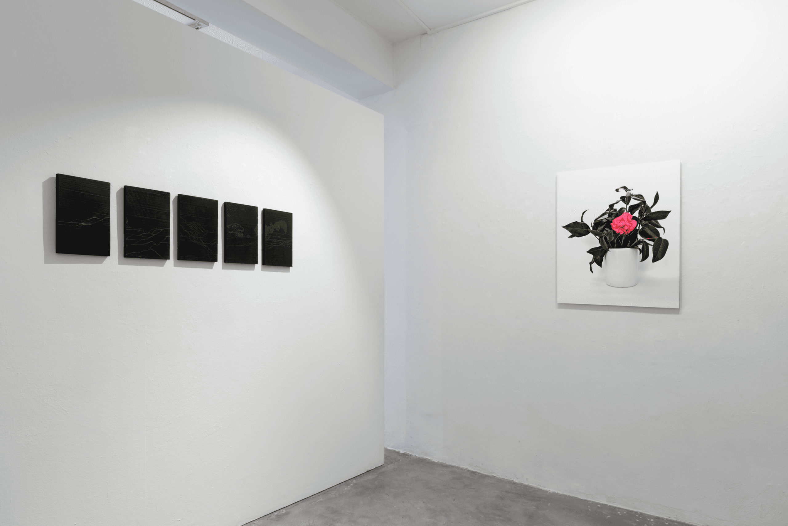 Interlignes-a l'ombre des manguiers sauvages