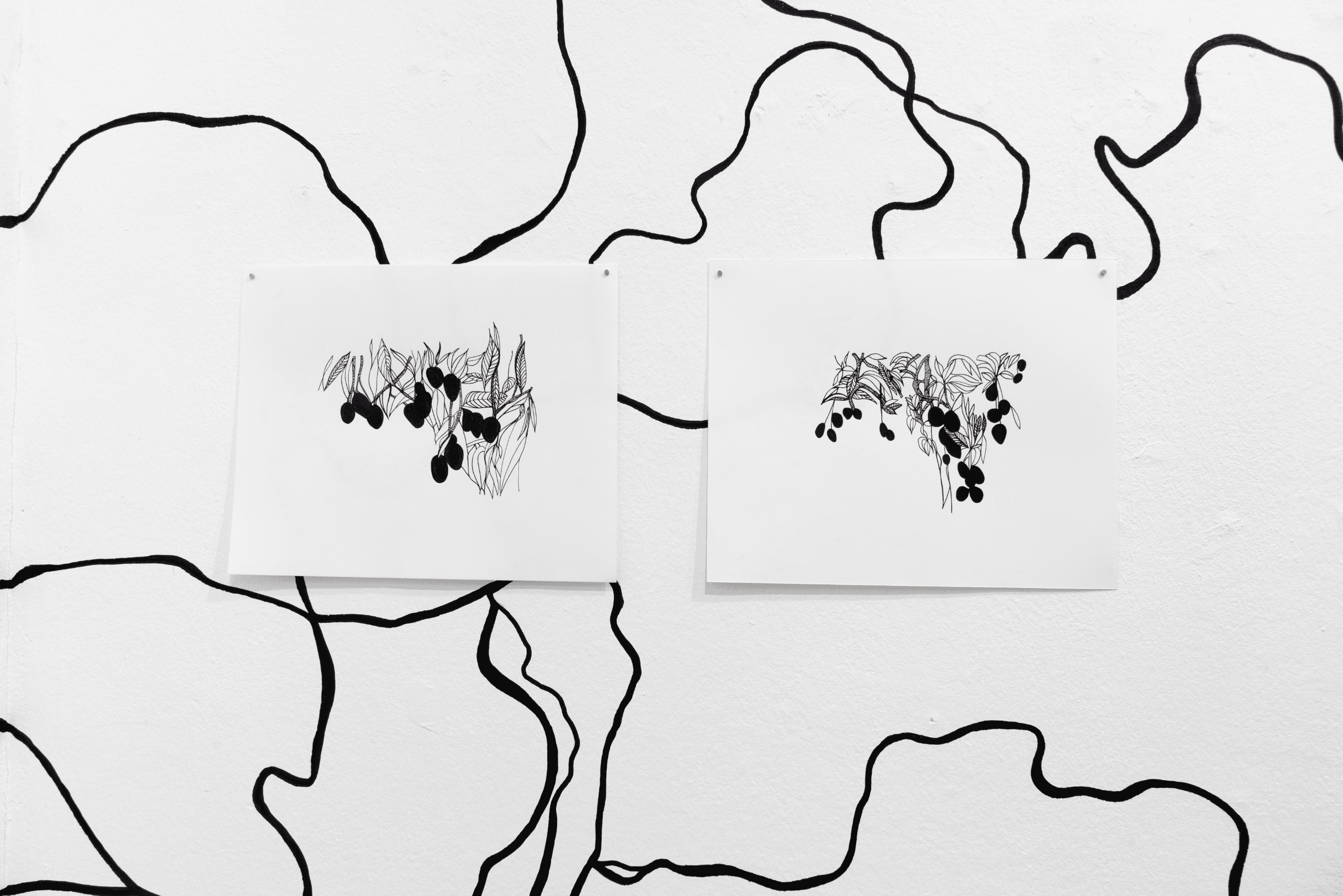 Interlignes-a l'ombre des manguiers sauvages